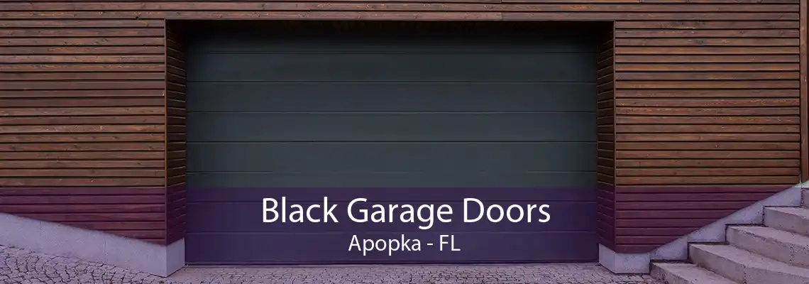Black Garage Doors Apopka - FL