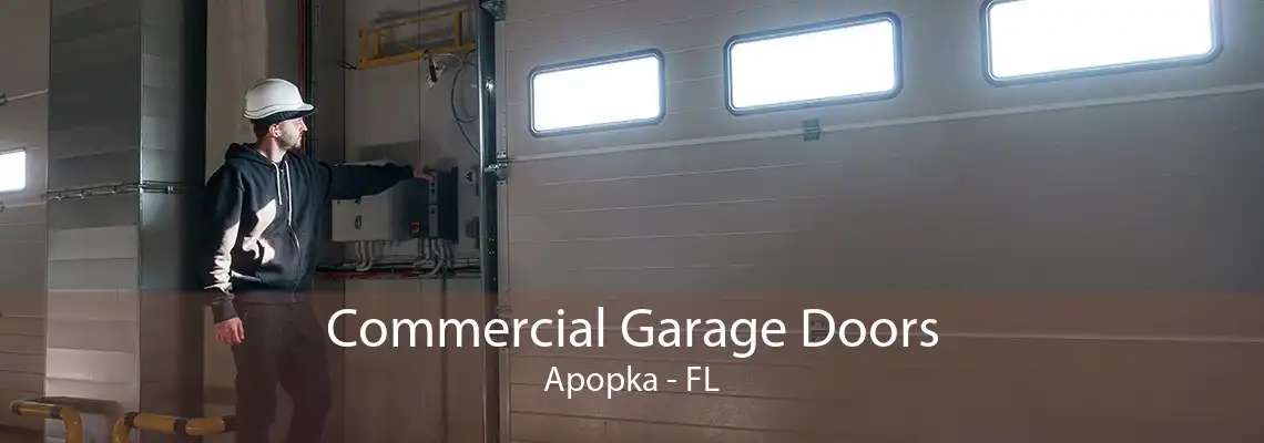 Commercial Garage Doors Apopka - FL