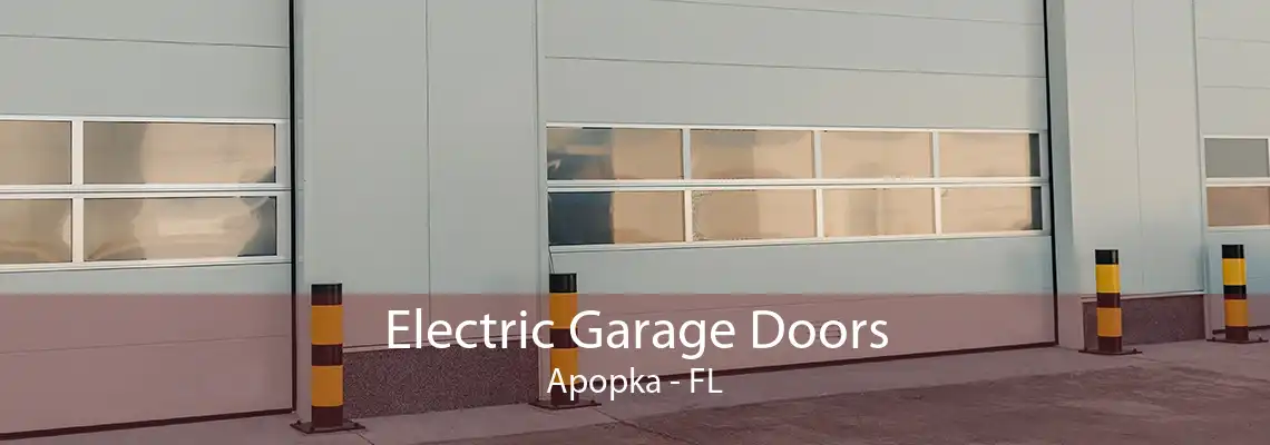 Electric Garage Doors Apopka - FL