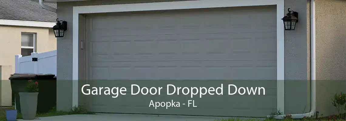 Garage Door Dropped Down Apopka - FL