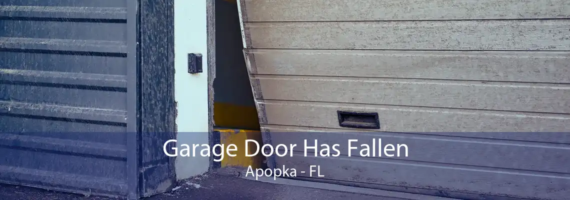 Garage Door Has Fallen Apopka - FL