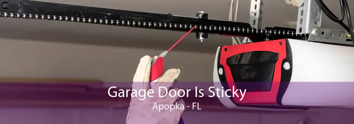 Garage Door Is Sticky Apopka - FL