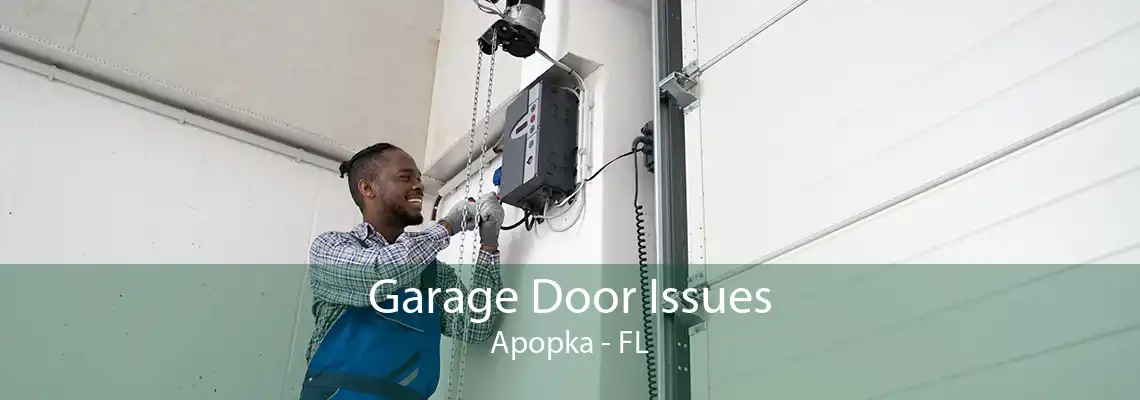 Garage Door Issues Apopka - FL