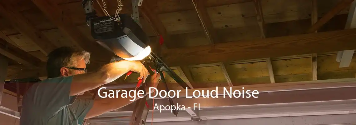 Garage Door Loud Noise Apopka - FL