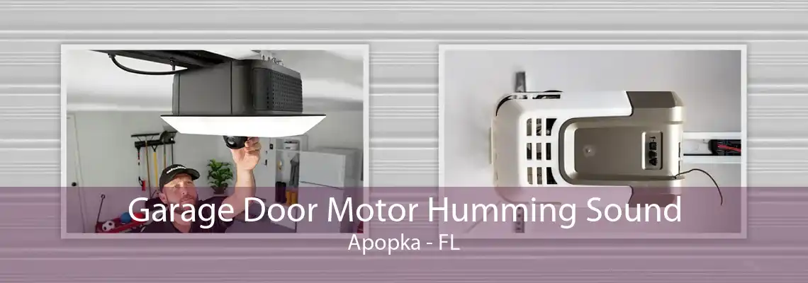 Garage Door Motor Humming Sound Apopka - FL
