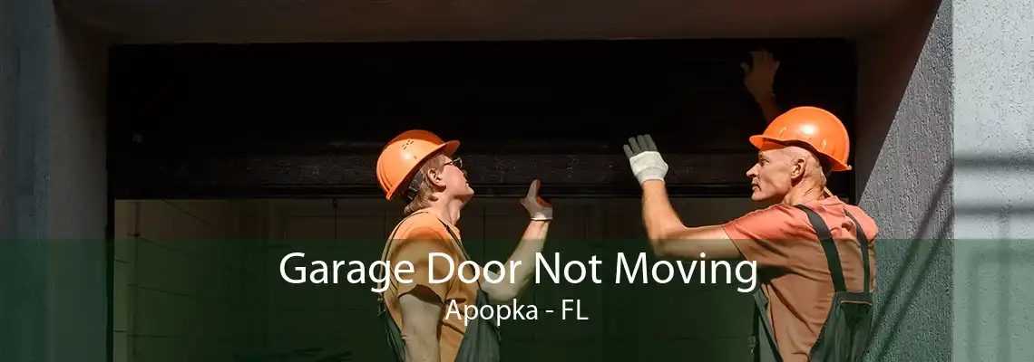Garage Door Not Moving Apopka - FL