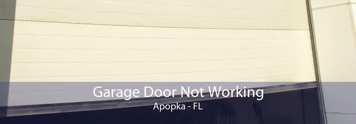 Garage Door Not Working Apopka - FL