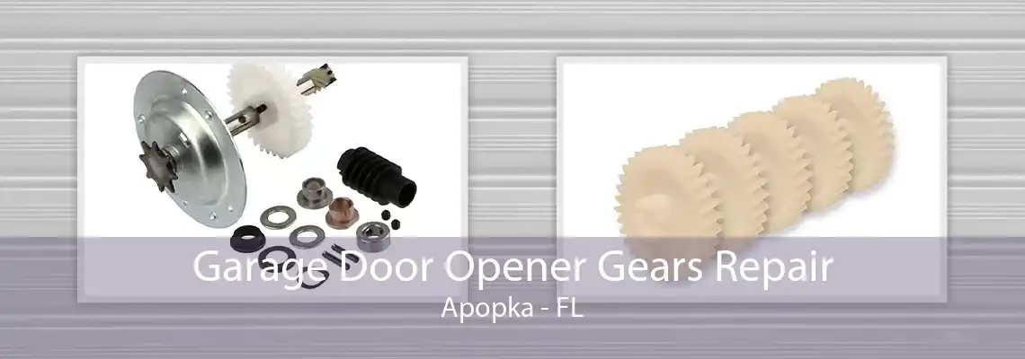 Garage Door Opener Gears Repair Apopka - FL