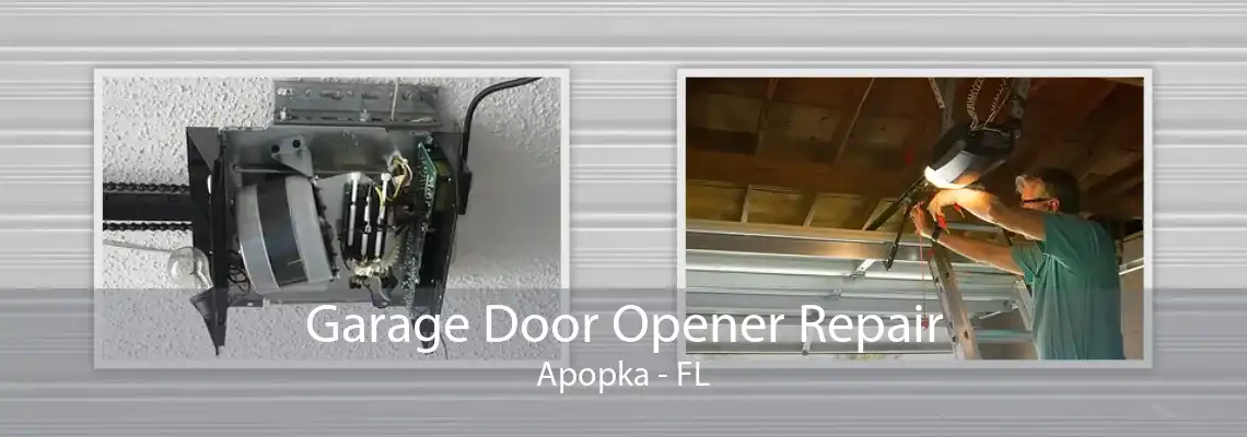 Garage Door Opener Repair Apopka - FL