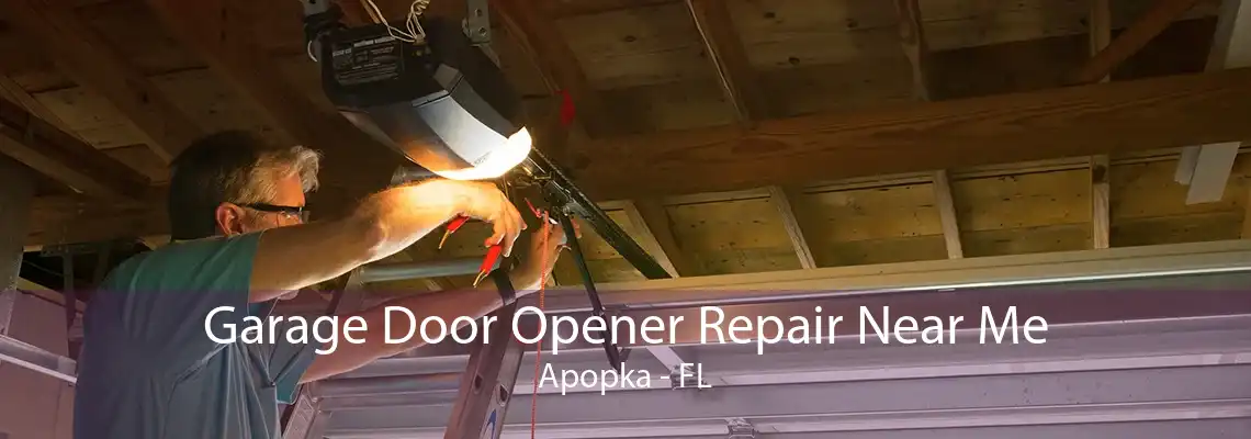 Garage Door Opener Repair Near Me Apopka - FL