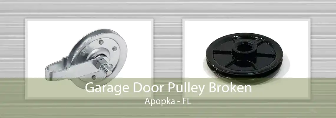 Garage Door Pulley Broken Apopka - FL