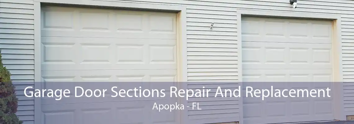 Garage Door Sections Repair And Replacement Apopka - FL