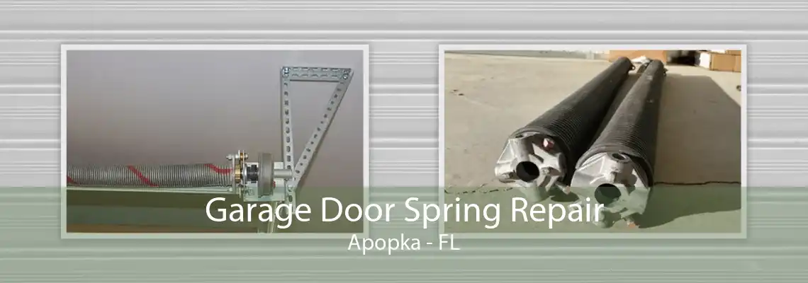 Garage Door Spring Repair Apopka - FL