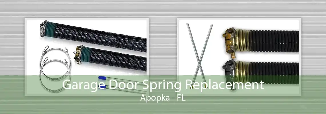 Garage Door Spring Replacement Apopka - FL