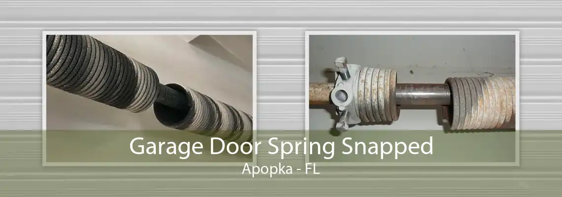 Garage Door Spring Snapped Apopka - FL