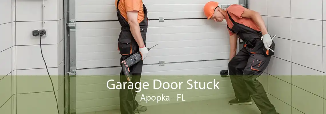 Garage Door Stuck Apopka - FL