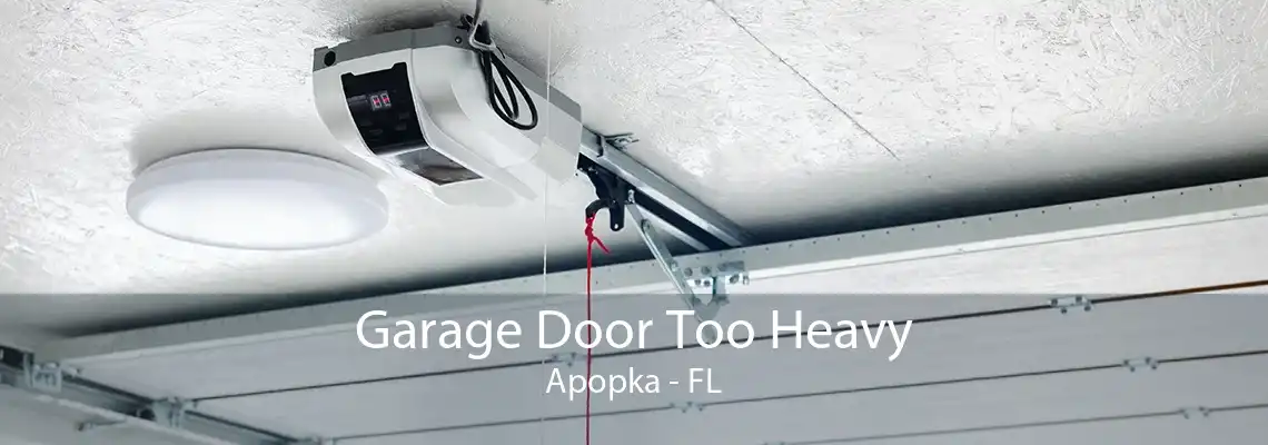 Garage Door Too Heavy Apopka - FL
