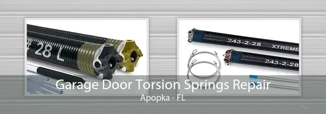 Garage Door Torsion Springs Repair Apopka - FL