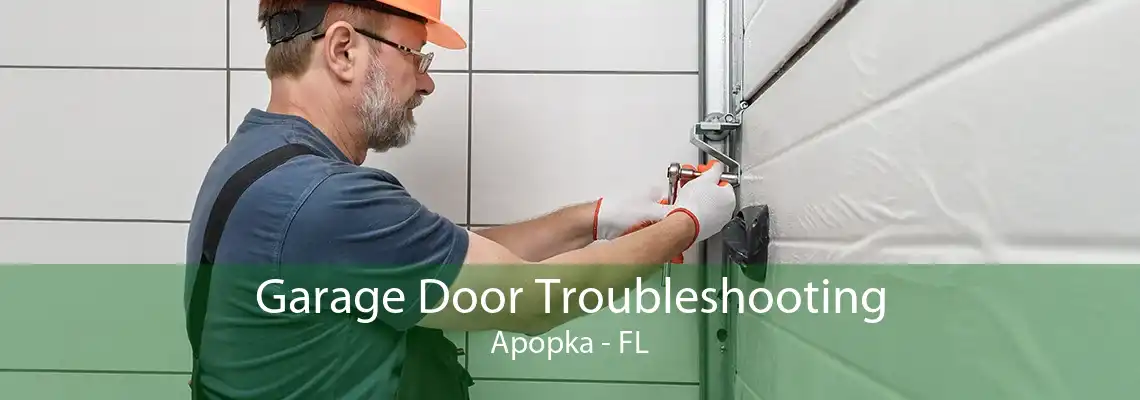 Garage Door Troubleshooting Apopka - FL