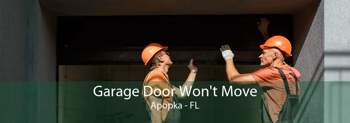 Garage Door Won't Move Apopka - FL