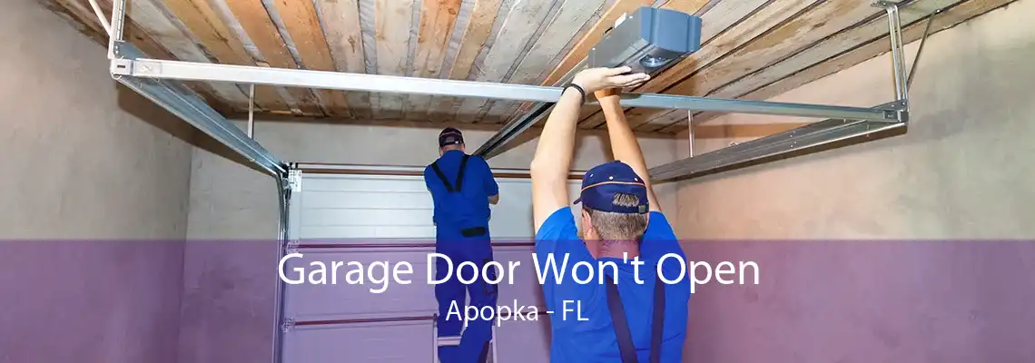 Garage Door Won't Open Apopka - FL