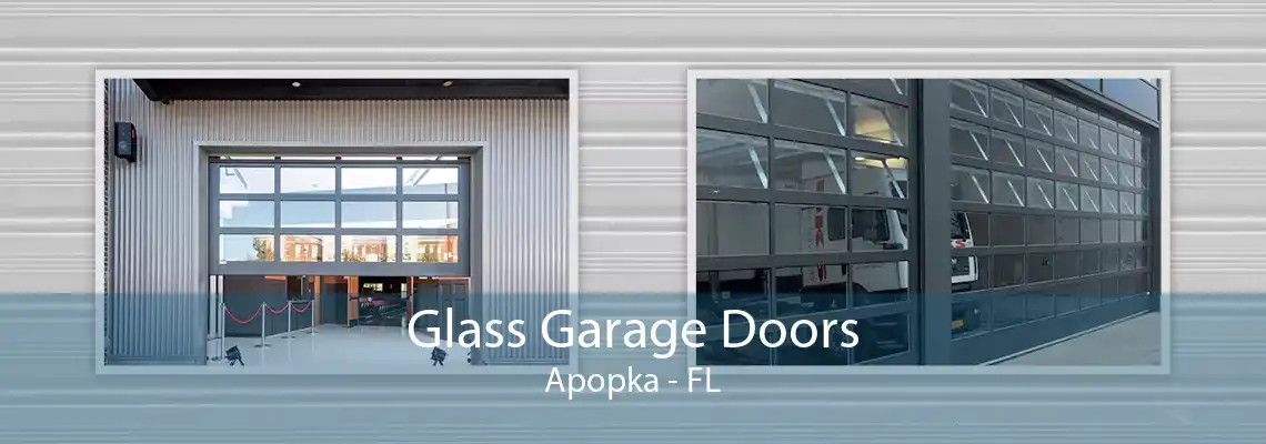 Glass Garage Doors Apopka - FL