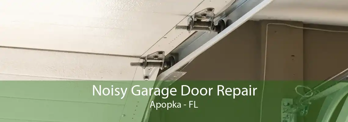 Noisy Garage Door Repair Apopka - FL