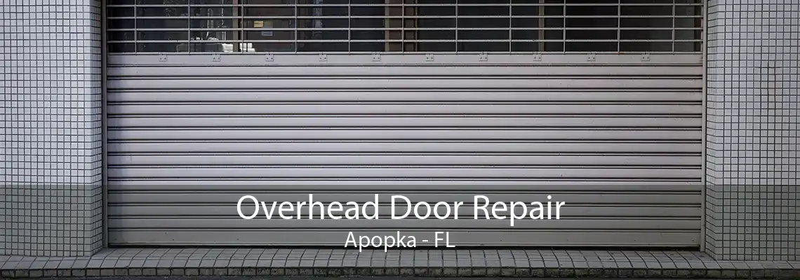 Overhead Door Repair Apopka - FL