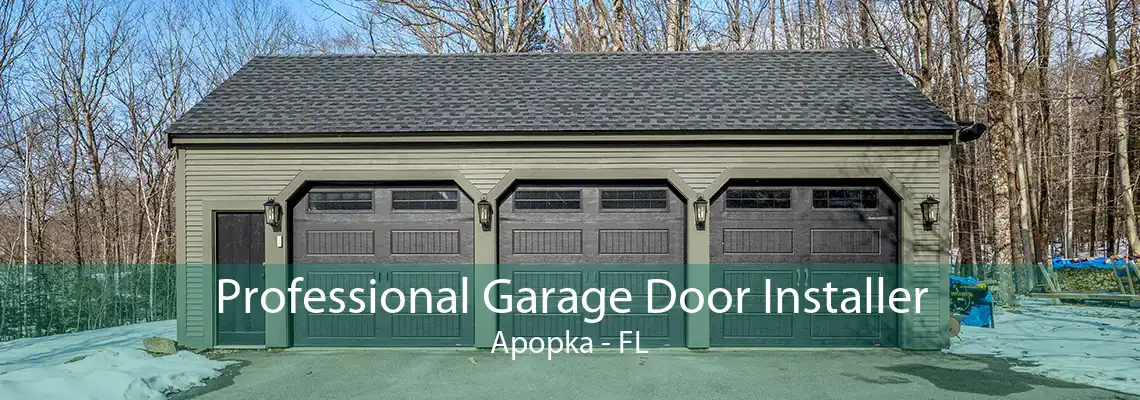 Professional Garage Door Installer Apopka - FL