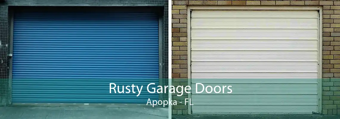 Rusty Garage Doors Apopka - FL