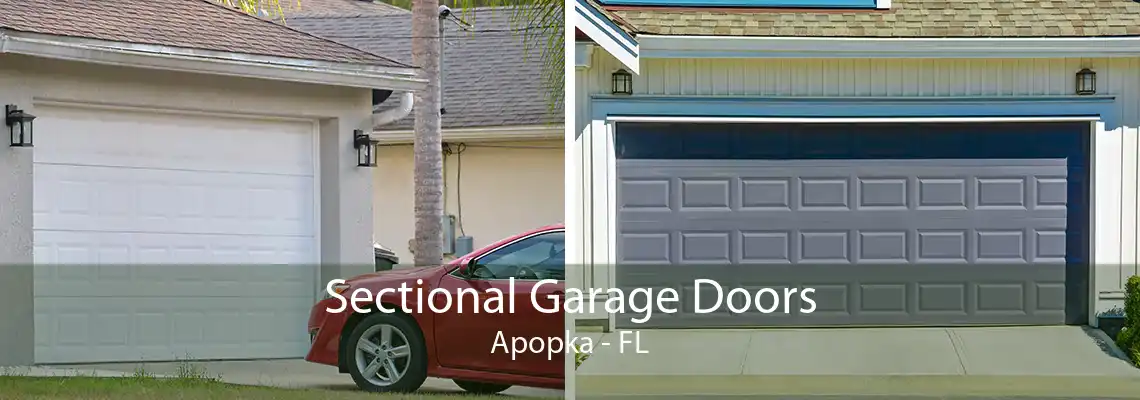 Sectional Garage Doors Apopka - FL